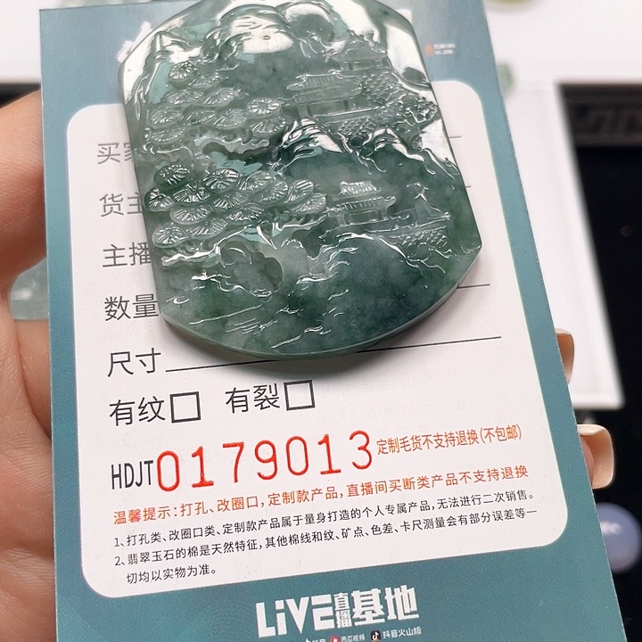 颈饰未镶嵌翡翠HDJT0179013