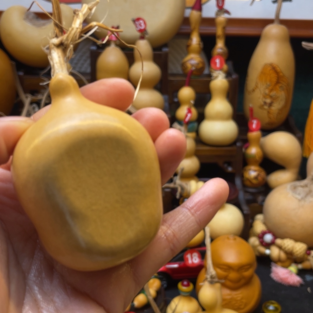 秋***硕葫芦等多种颜色的花鸟画作品被