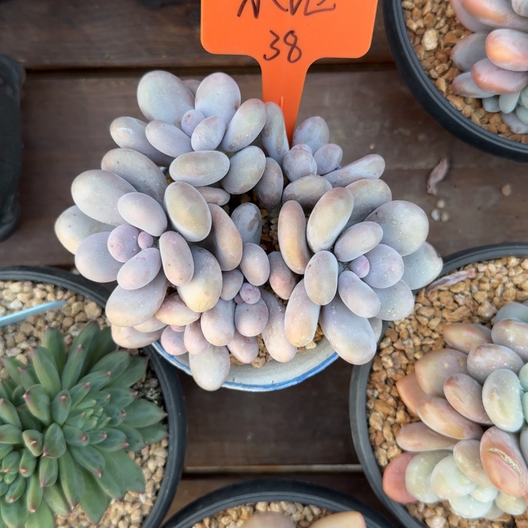 小***讴11111111111111111111111