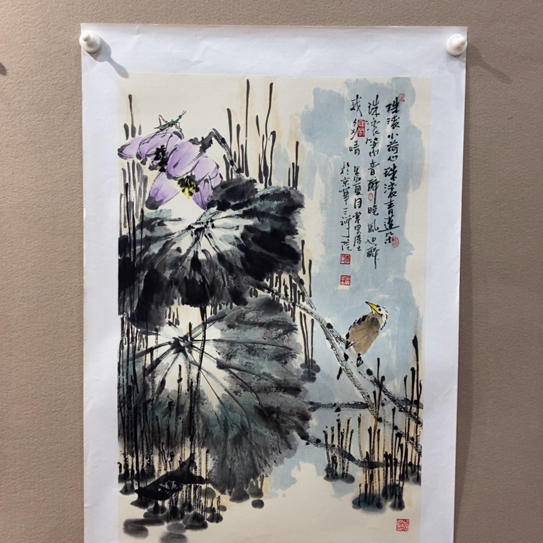 【闪购商品】国画用****3墨鱼精品墨鱼精品