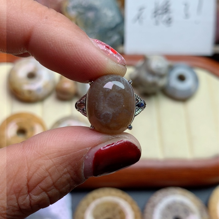 硅化珊瑚（珊瑚玉）颈饰未镶嵌