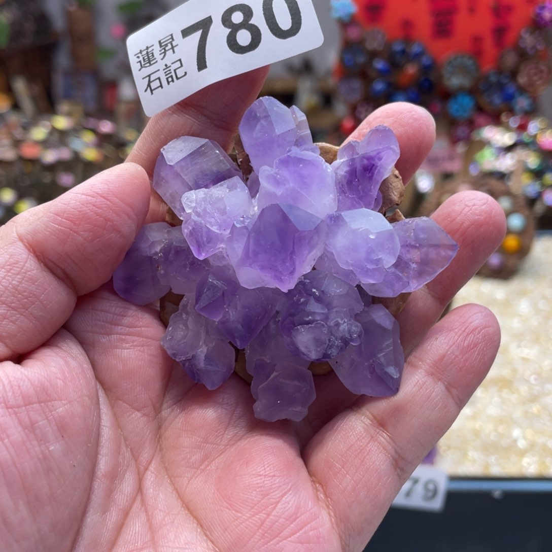 核桃木/黑胡桃（胡桃木）780