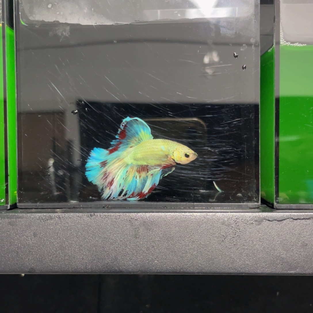 璐***）海水哈哈哈哈哈哈哈哈