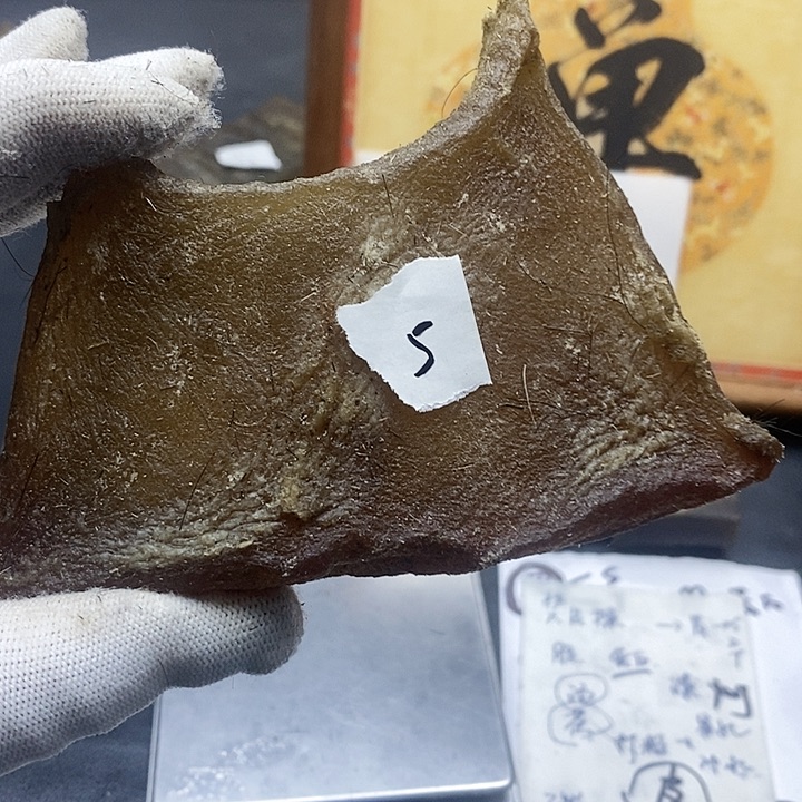 皮质非金属原料专拍