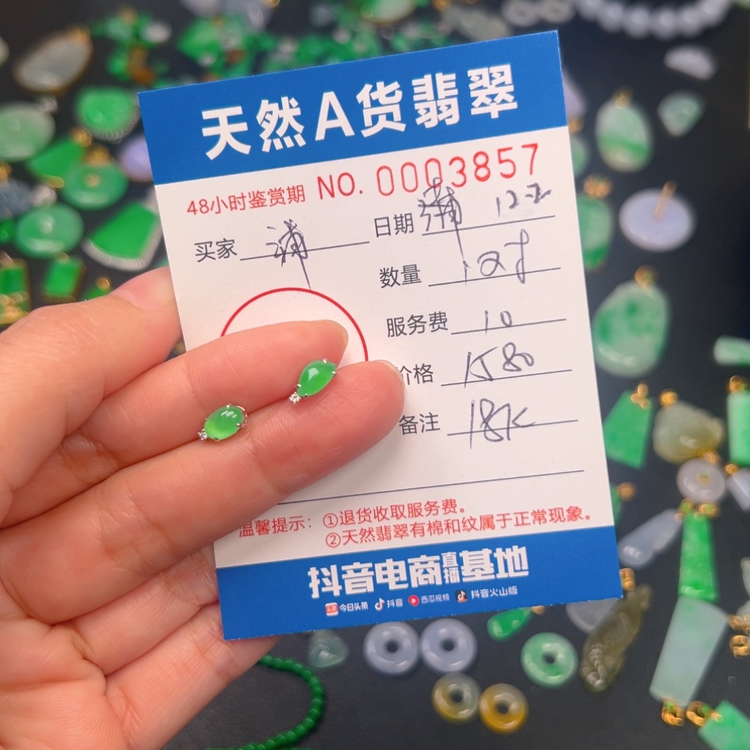 蒲***女翡翠18K金镶嵌颈饰