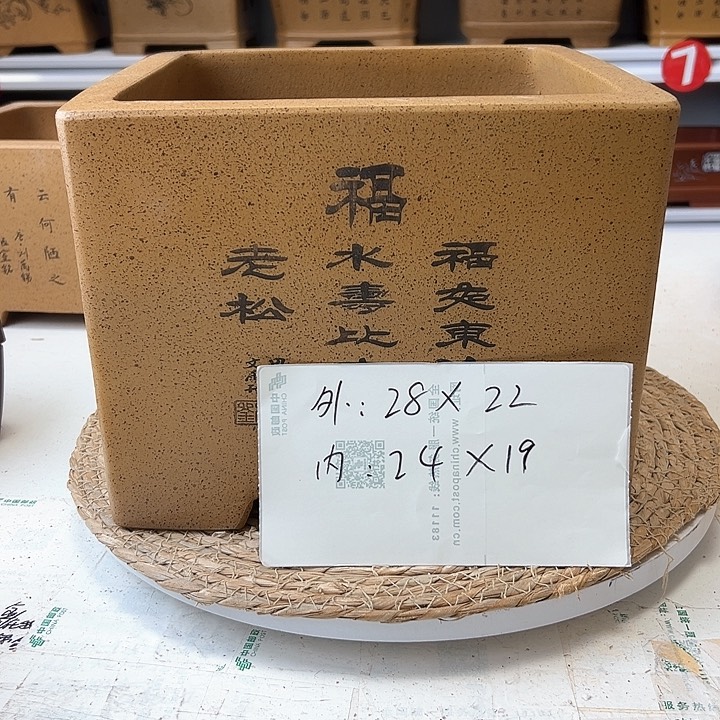 紫砂花盆蛇年大吉