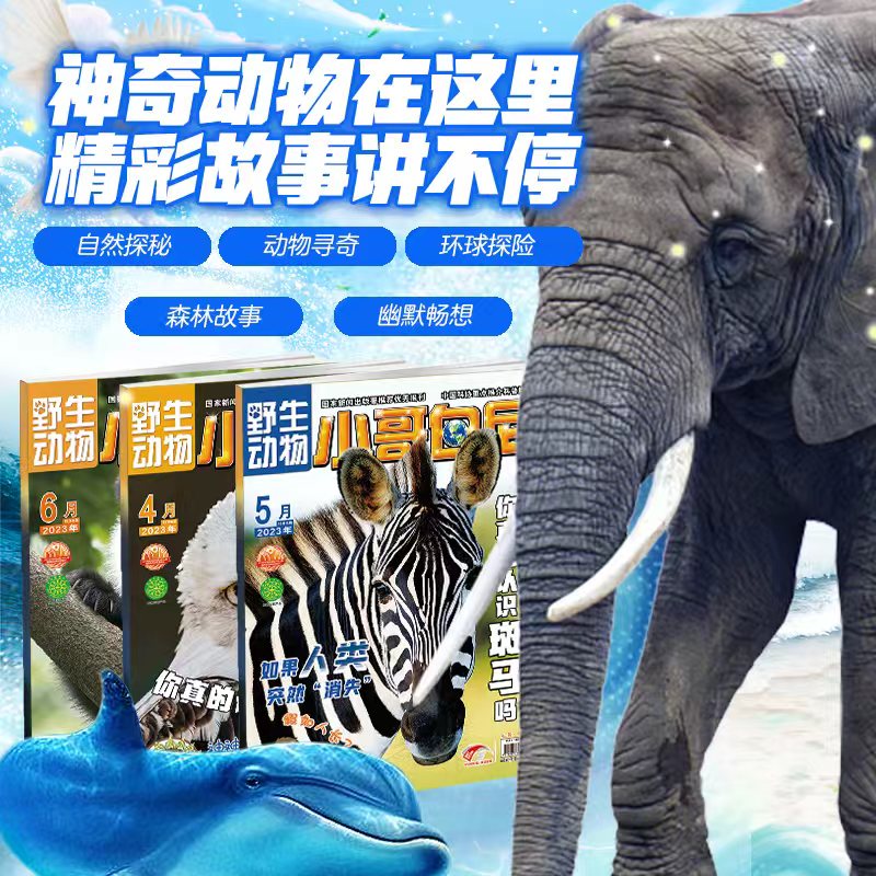 《小哥白尼》系列科普杂志（季度版）