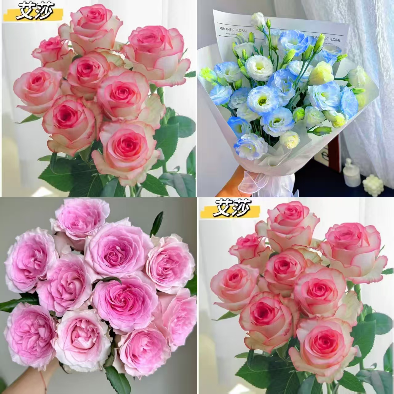 【 10枝洛神+10枝艾莎+碎冰蓝桔梗1扎】任意两单升级顺丰送货上门
