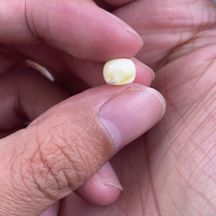 琥珀裸石未镶嵌琥珀蜜蜡