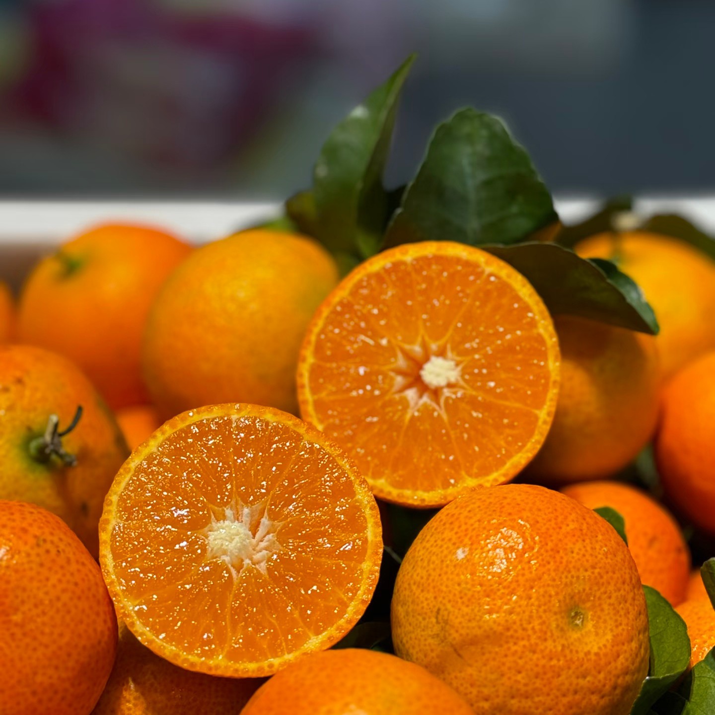 【京东顺丰包邮】广西桂林砂糖橘皮薄肉厚汁水多正宗老沙糖桔新鲜采摘次日达广西壮族自治区