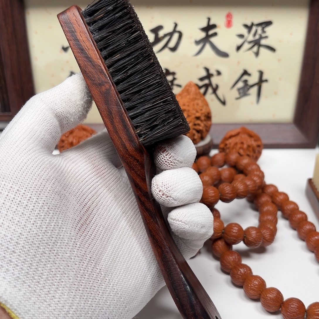 精选硬猪鬃檀木6排款