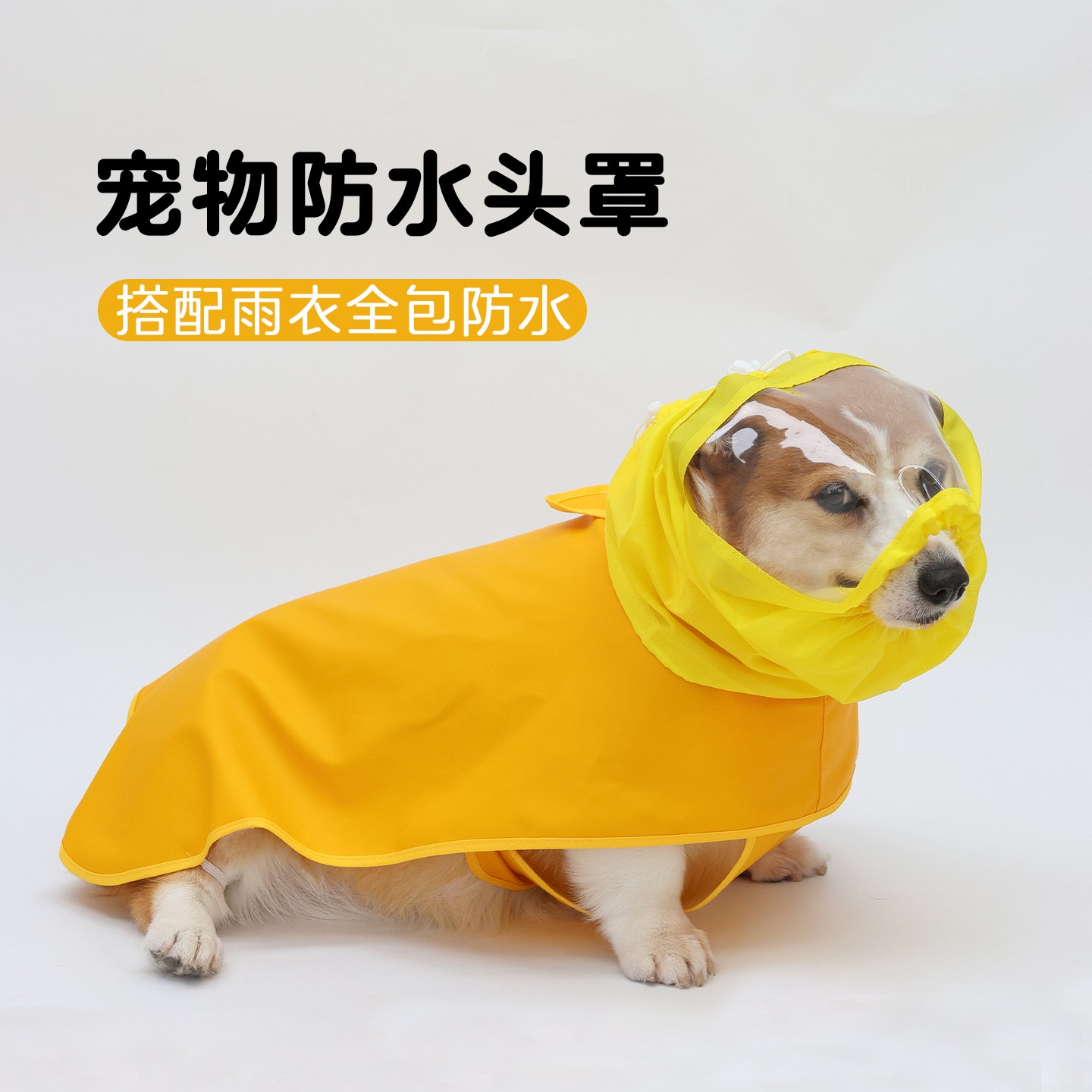 宠物狗狗帽子防水洗澡头套护眼雨天防进水遛狗神器柯基中型犬雨衣