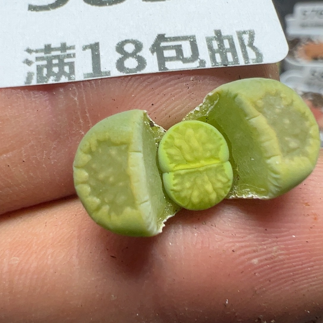 【闪购商品】 585。    