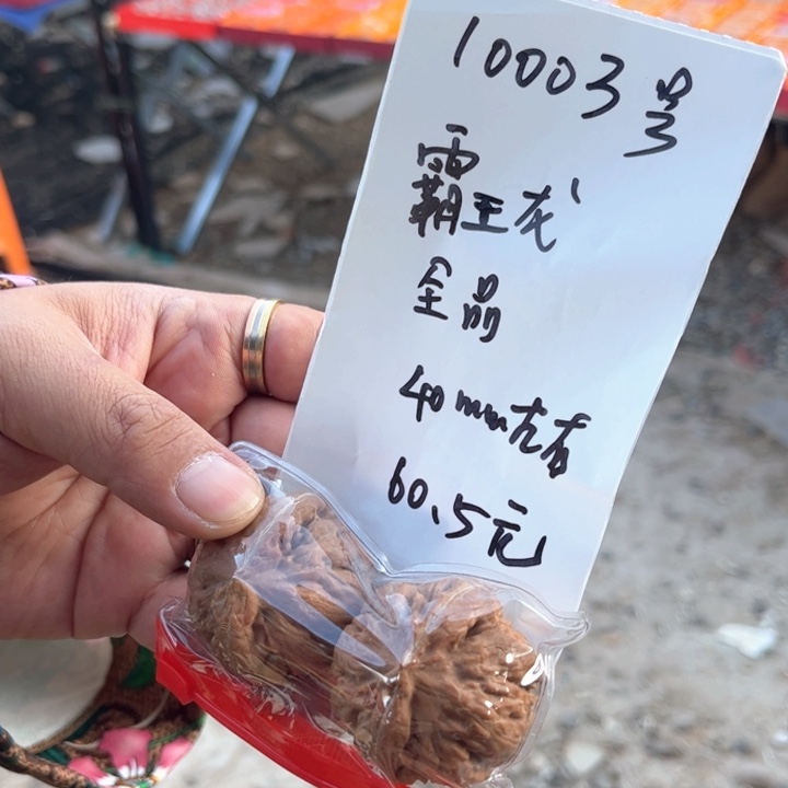 文玩核桃把件10003号全品霸王龙40mm左右