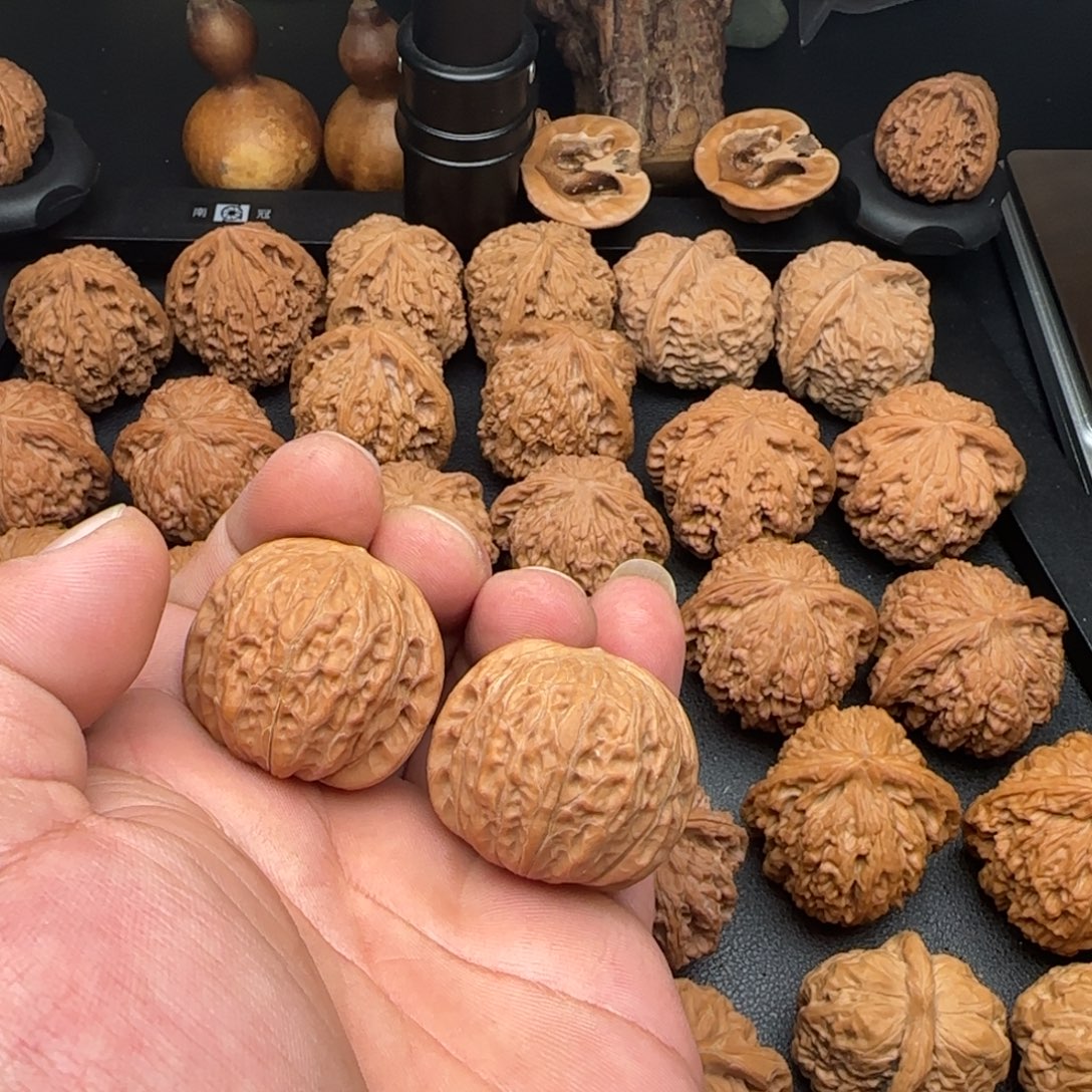 35尺铁锤妹妹微黄