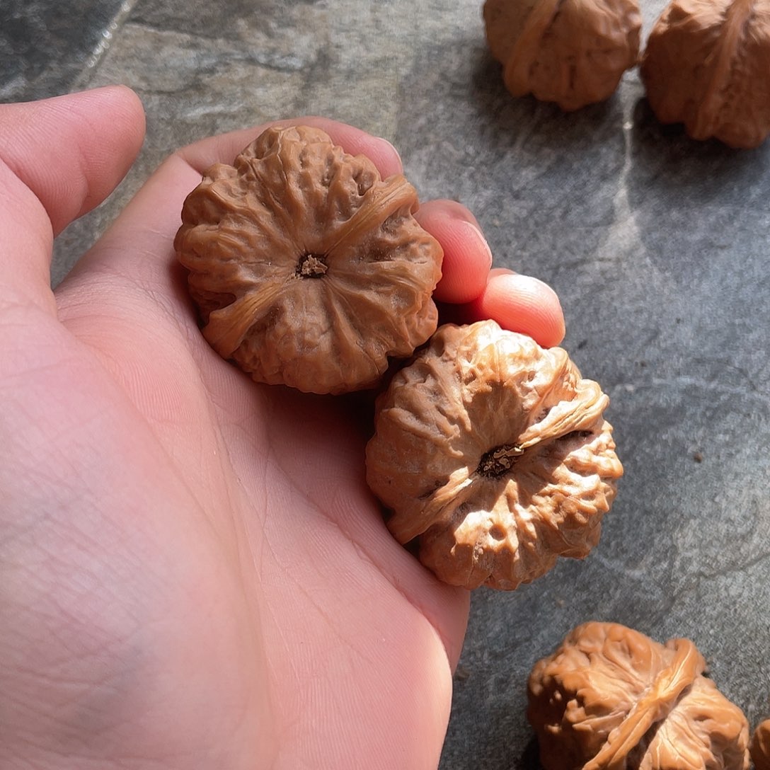 太***a文玩核桃把件蛤蟆头