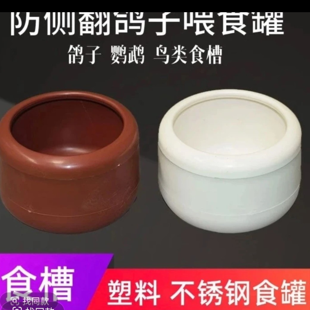 鸽子防陶瓷食罐(10个包邮)