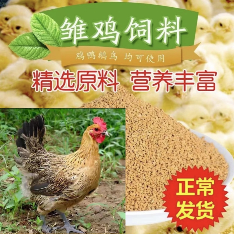 畜牧养殖饲料【青脚麻】健康好喂养