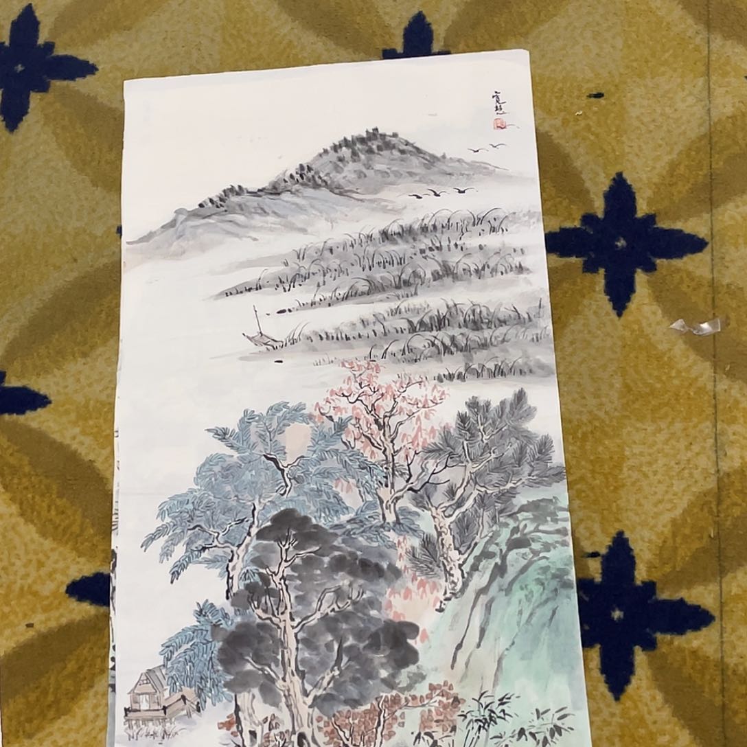 国画沉**生绘画作品宽慧老师66666