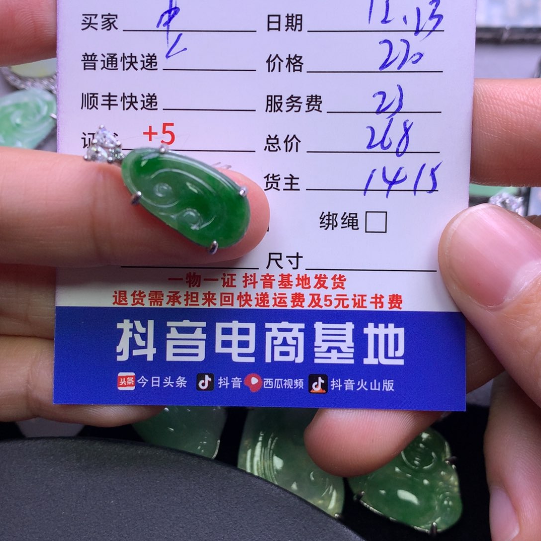 颈饰银S925镶嵌翡翠?****万