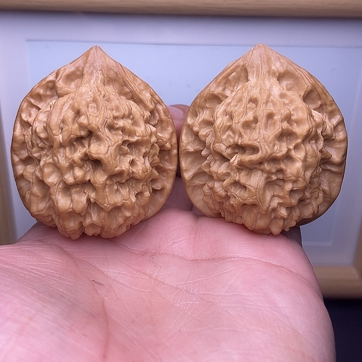 核桃全品小尺官帽