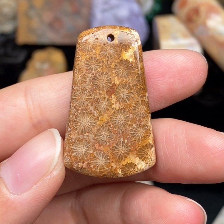 硅化珊瑚（珊瑚玉）手镯未镶嵌