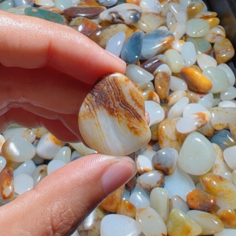 和田玉（糖玉）手链未镶嵌10