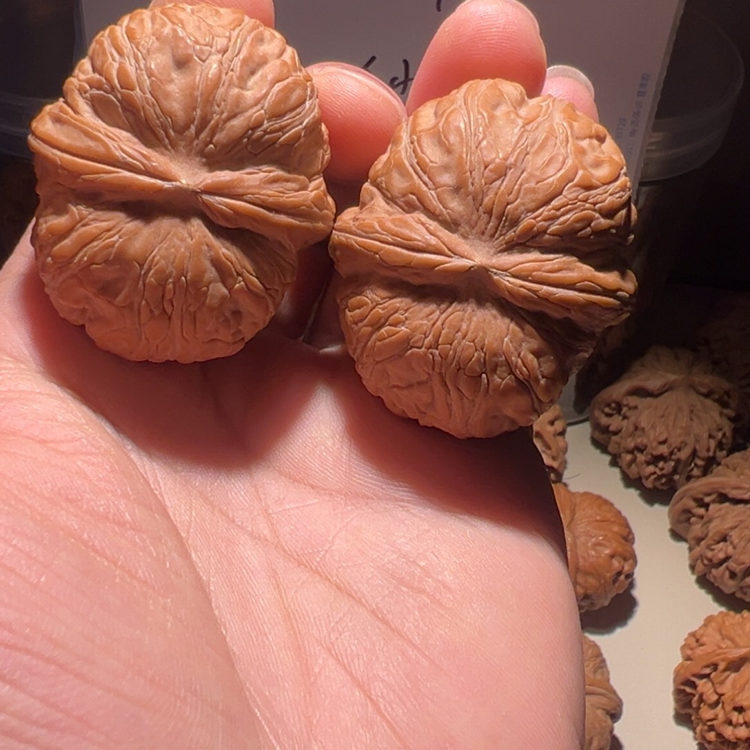 文玩核桃把件44尺全品元宝