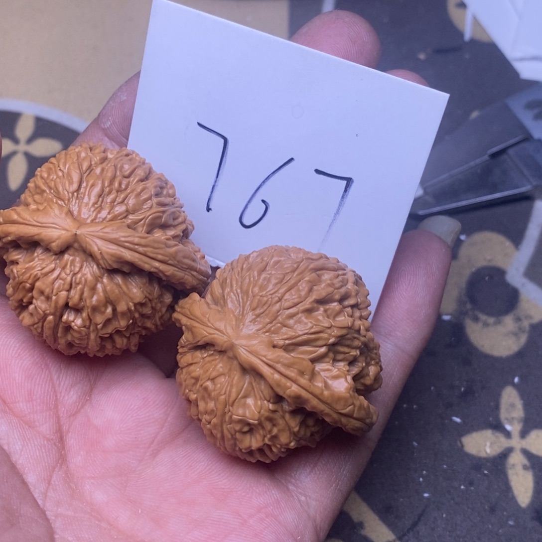 核桃白狮子尺寸41