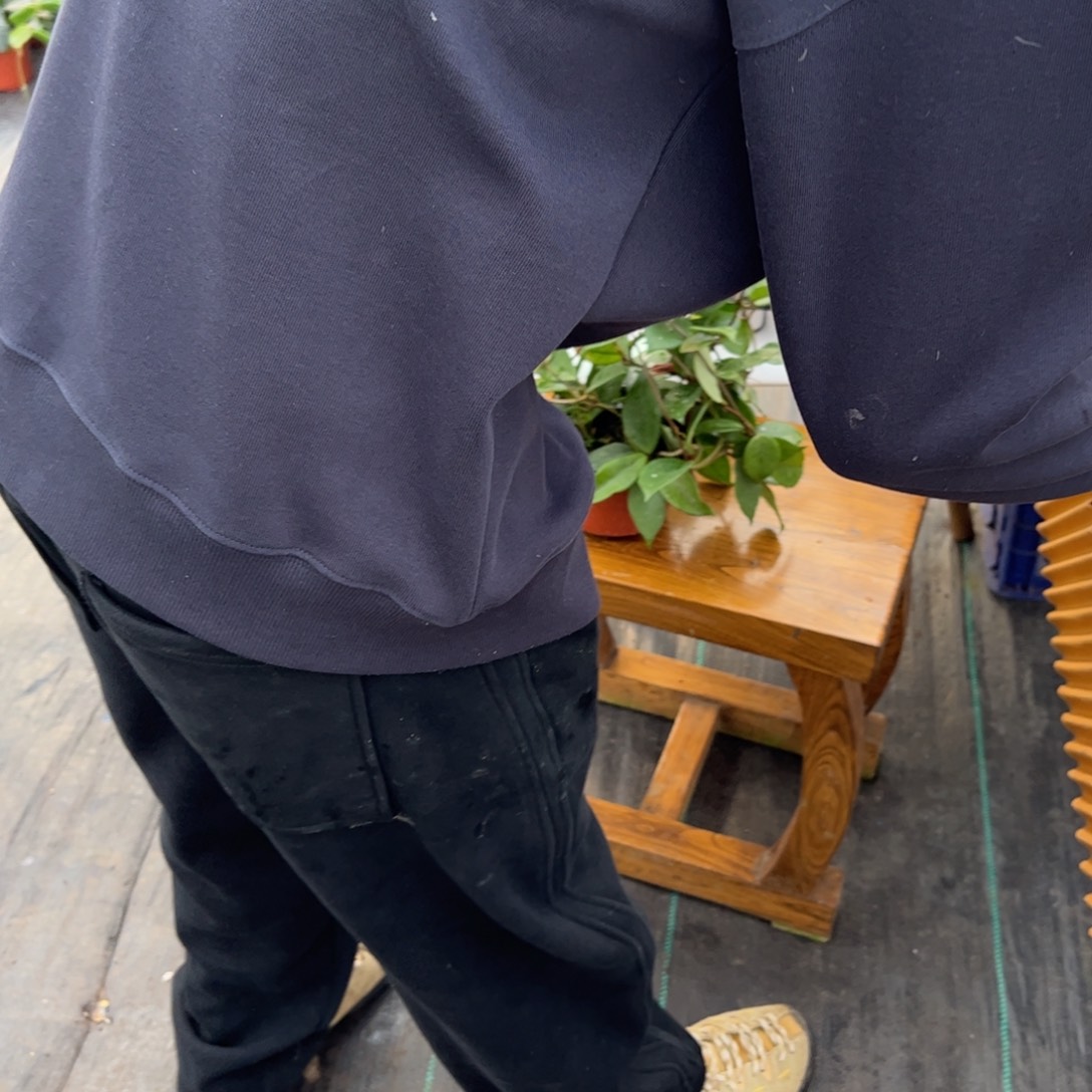 M***O无花朵卡诺萨球兰