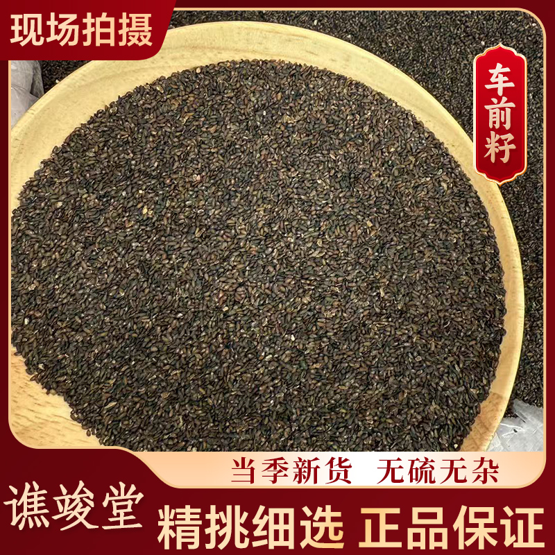 谯竣堂【车前子】正宗高品质 车前子 泡水喝 另售金钱草