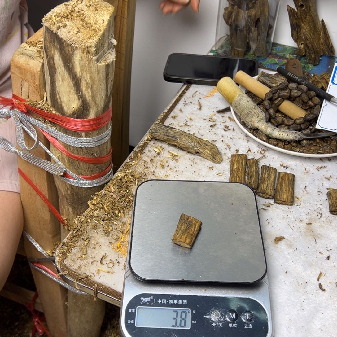 线香奇楠虫漏香3克