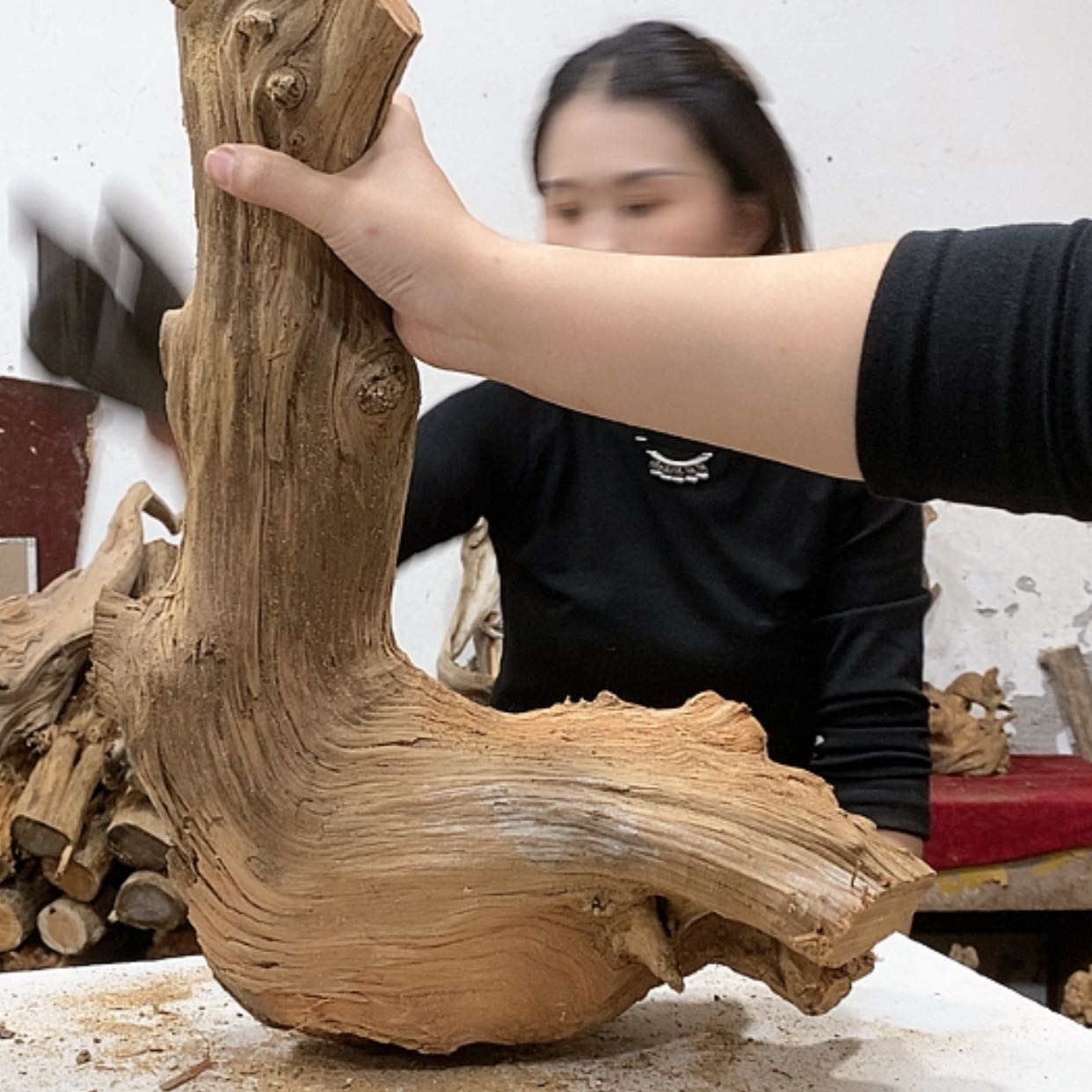 【闪购商品】柏木小*倩我们都是好孩子