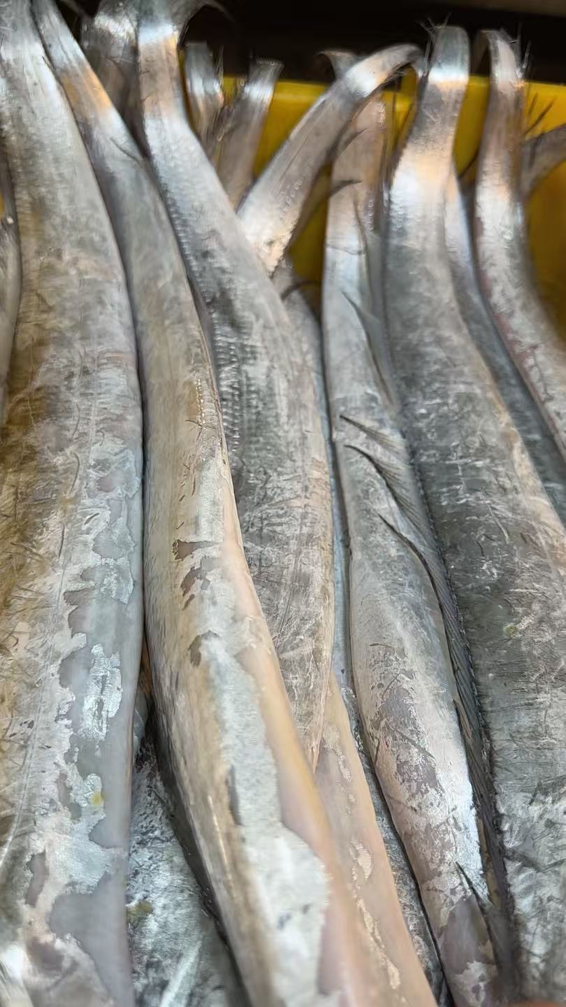 新鲜油带鱼冷冻包邮到家4斤