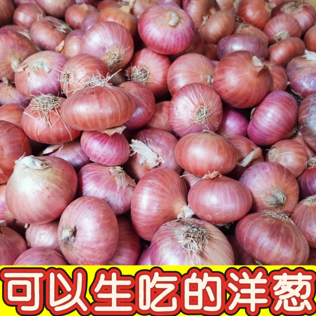 新鲜紫皮洋葱可炒菜凉拌的时令蔬菜紫洋葱水果洋葱农家洋葱