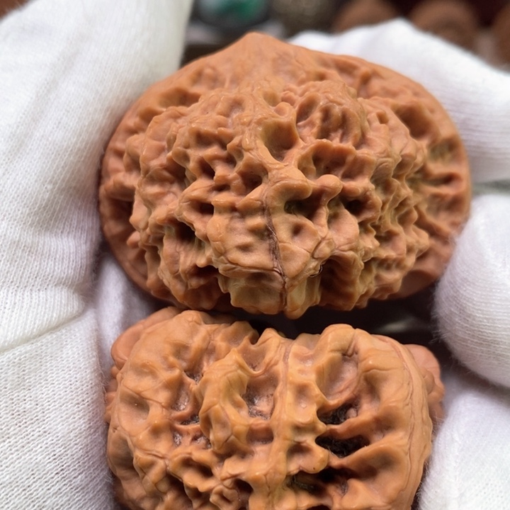 文玩核桃吊坠50全品货头矮桩龙鳞纹大官帽