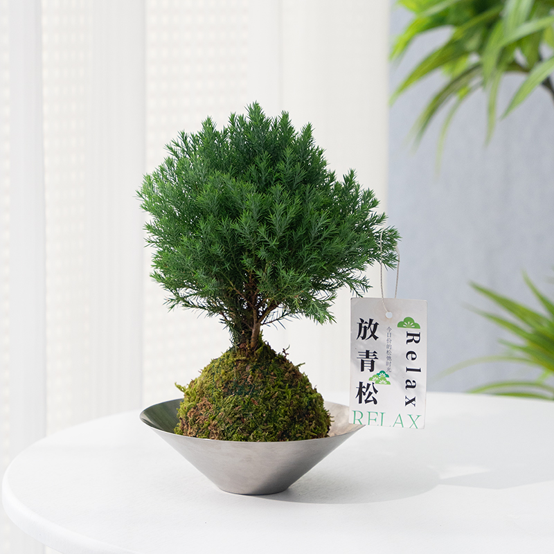 雾凇球+铁碗+放轻松卡片