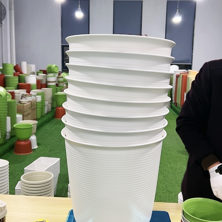 正品高陶口30高31白色5只无托