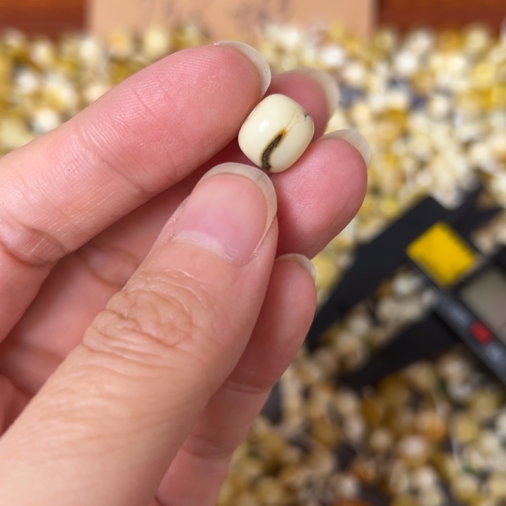 蜜蜡未镶嵌裸石10.2mm