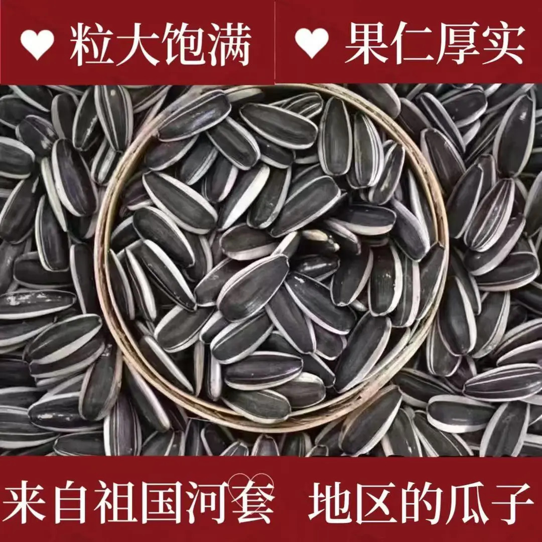 【买一斤送一斤】新鲜瓜子炒熟原味细长葵花籽休闲零食必备