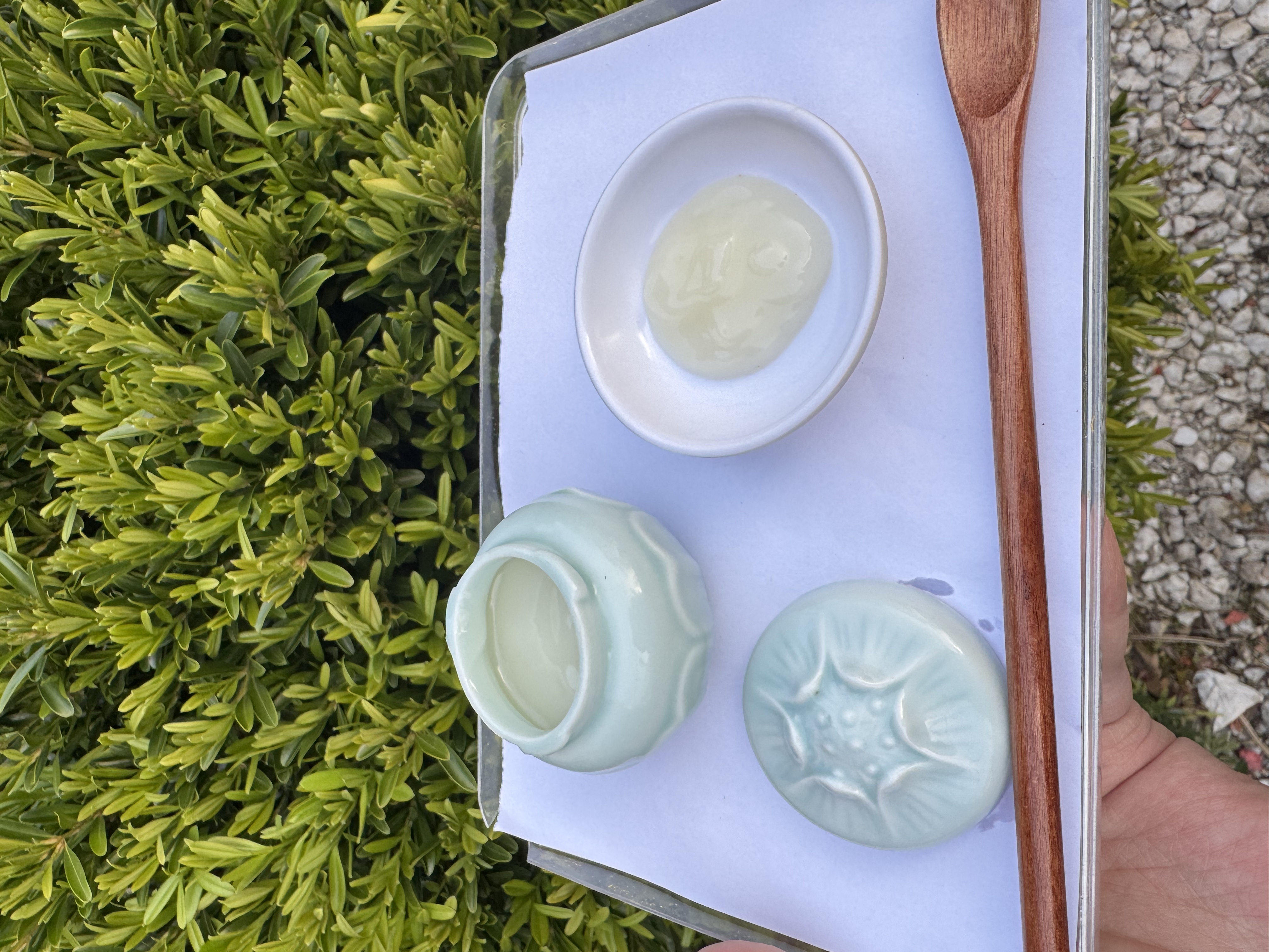 1【S-油】净含量：20-500g【小田现收】菌