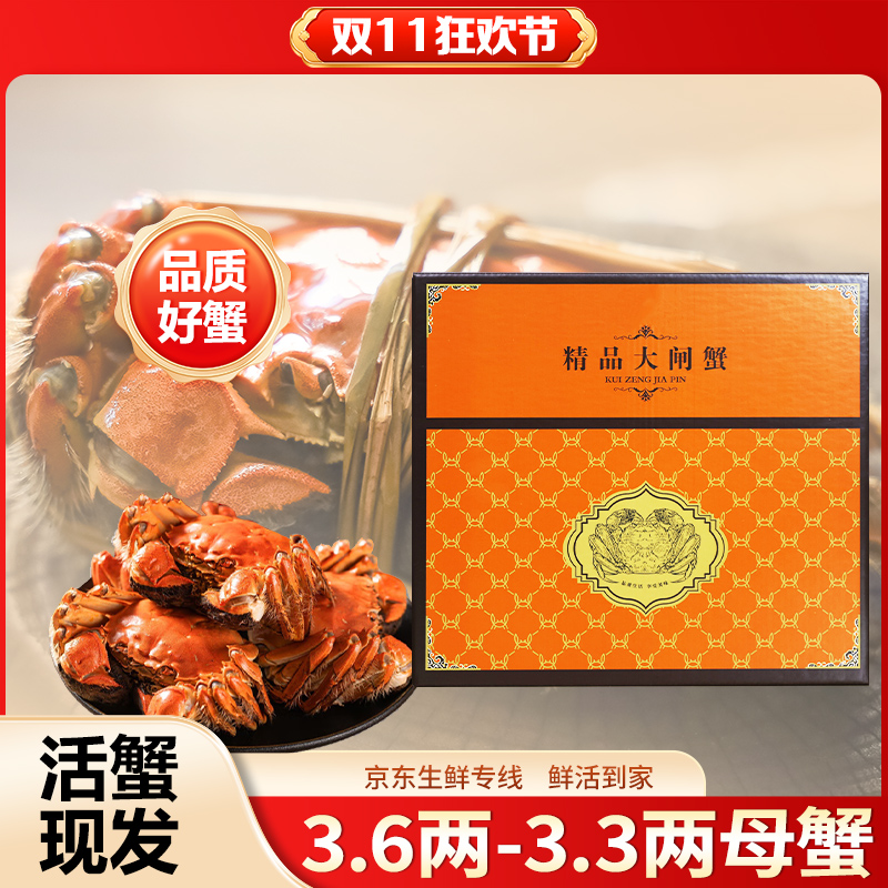 【活蟹蟹农直发】江苏大闸蟹全母蟹3.7-3.4两 5对 源头直发死蟹包赔