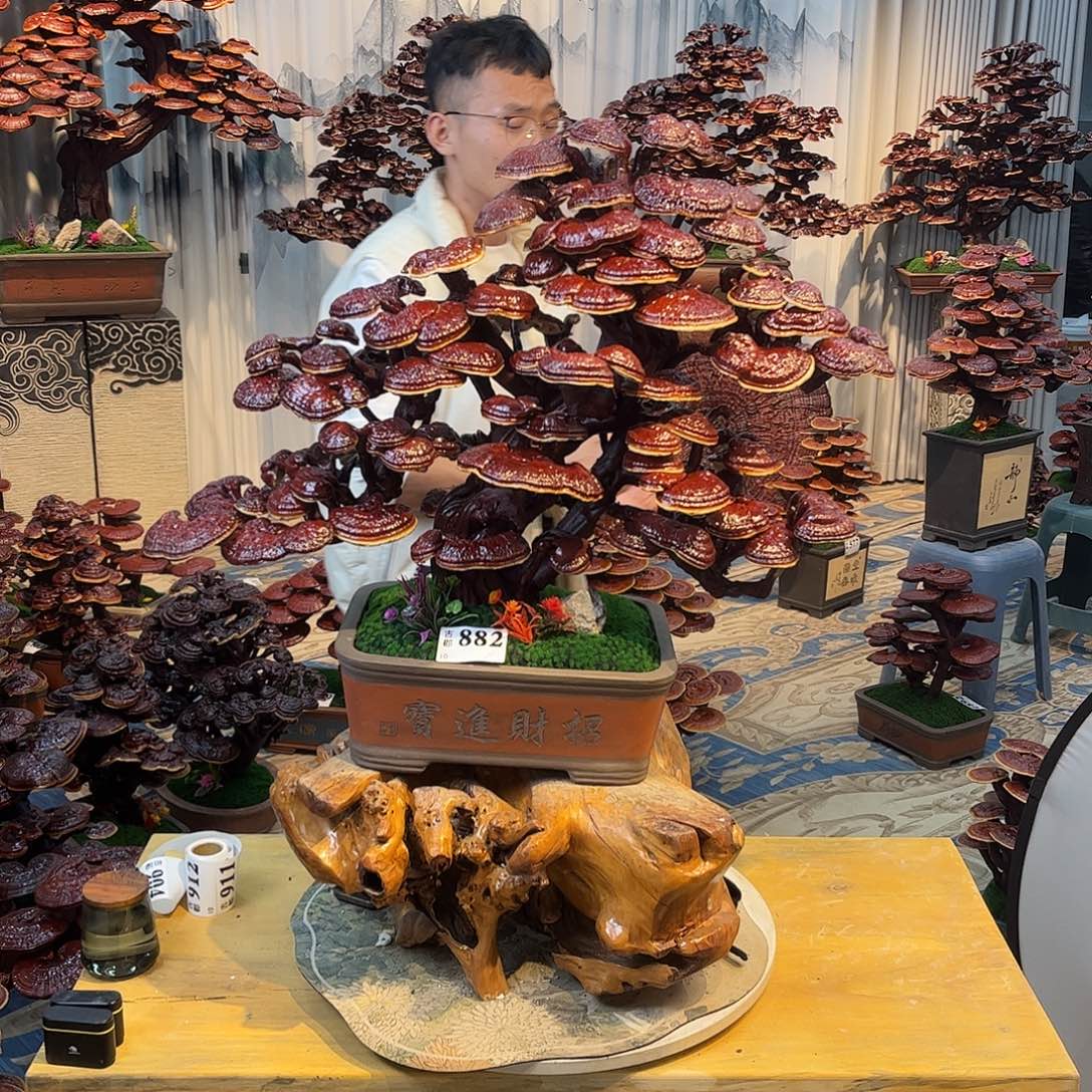 无花朵88888888888