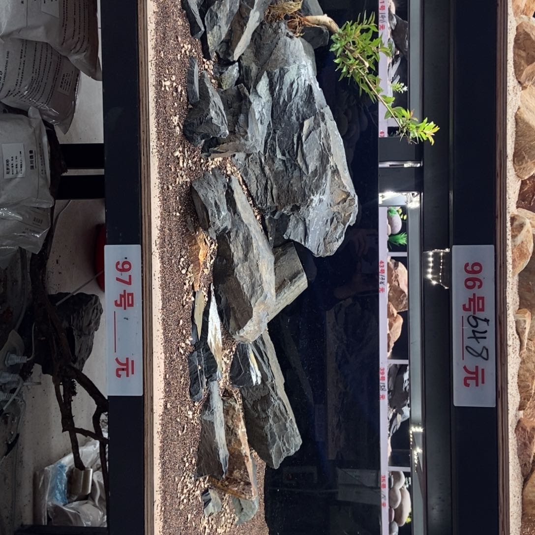 原生缸溪流缸造景97号55斤南美