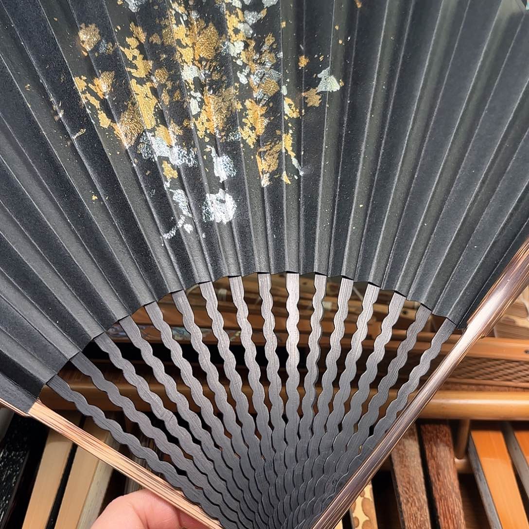 扇子爆炸金龙鳞棕竹