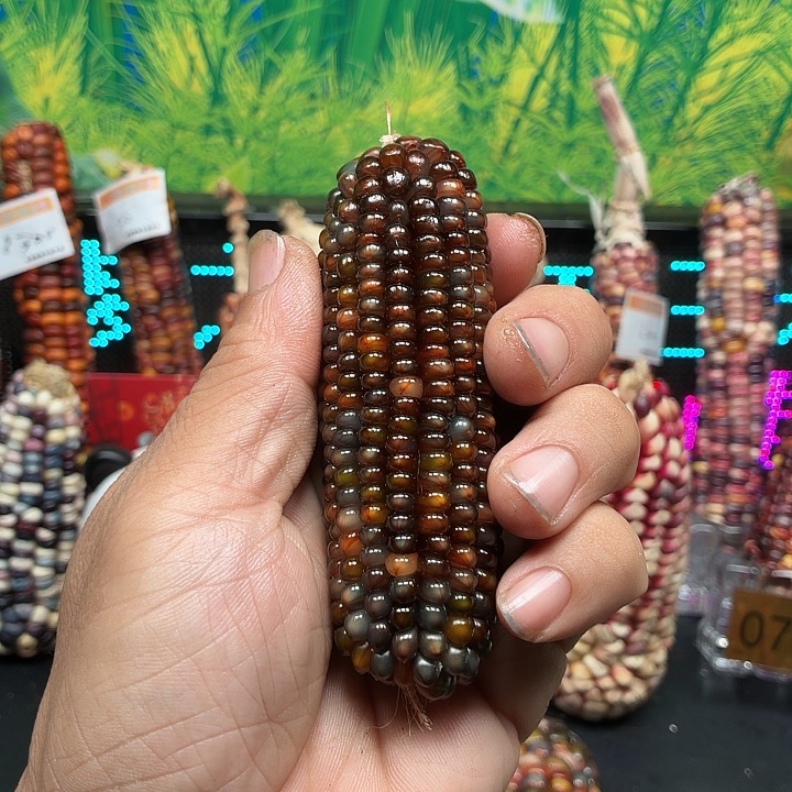 筱***筱吊坠柏香籽/百香籽