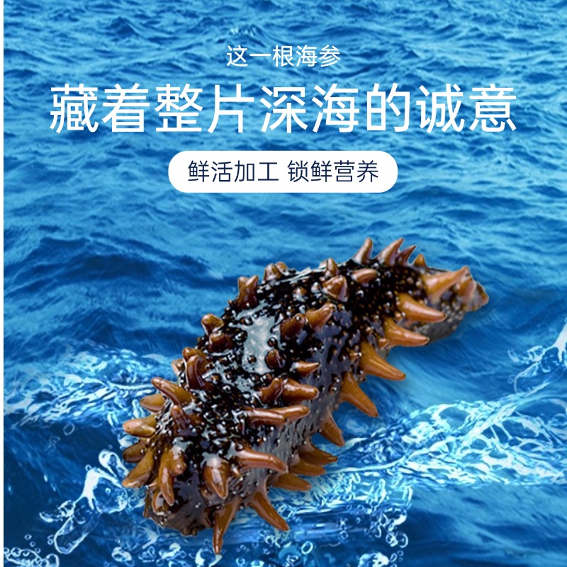 【活参1斤3头】1只42 滋补鲜辽参 土法加工 0添加  高压完