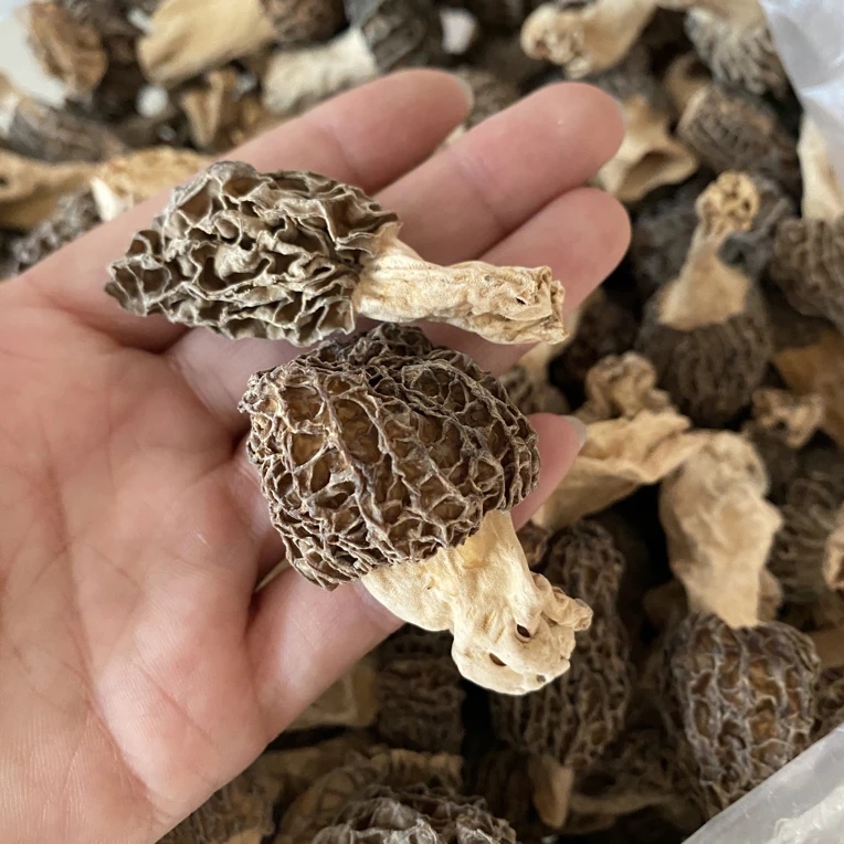 唐阿妹山货现收—羊，肚，菌山货