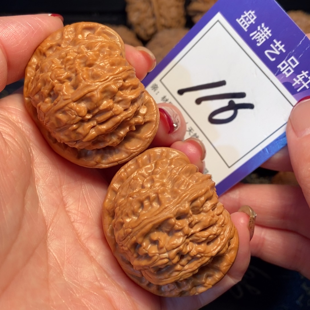 文玩核桃把件116白狮子4.4