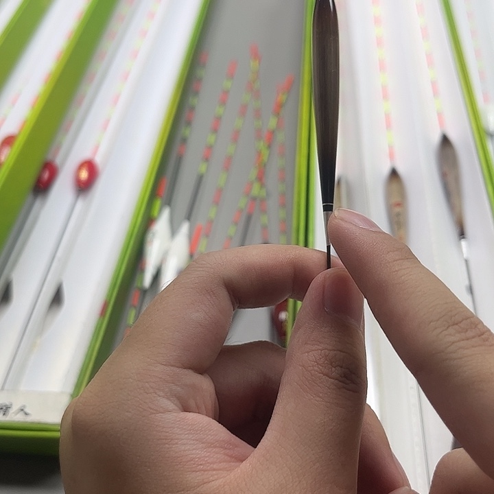 芦苇1号睿眼细尾B-005  2支